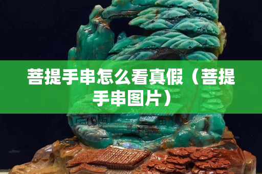 菩提手串怎么看真假（菩提手串图片）