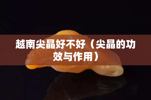 越南尖晶好不好（尖晶的功效与作用）