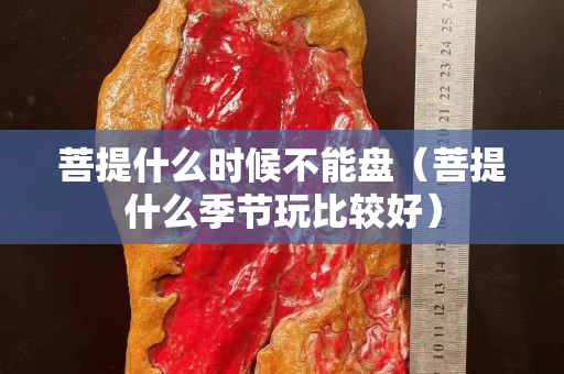 菩提什么时候不能盘（菩提什么季节玩比较好）