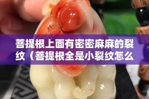 菩提根上面有密密麻麻的裂纹（菩提根全是小裂纹怎么办）