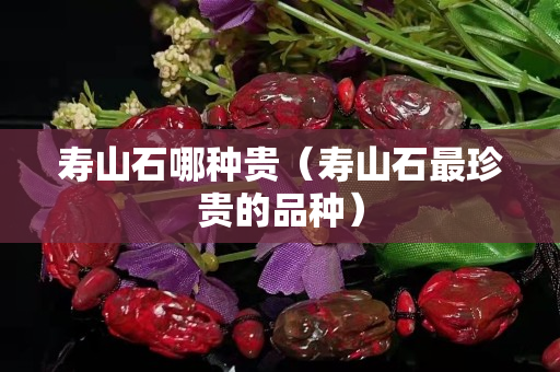 寿山石哪种贵（寿山石最珍贵的品种）