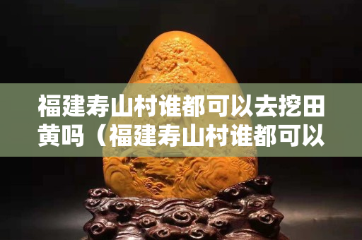 福建寿山村谁都可以去挖田黄吗（福建寿山村谁都可以去挖田黄吗视频）