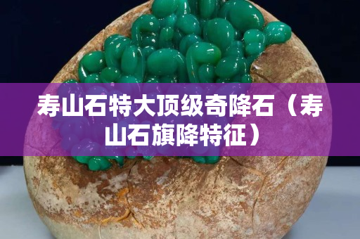 寿山石特大顶级奇降石（寿山石旗降特征）