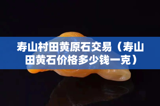 寿山村田黄原石交易（寿山田黄石价格多少钱一克）