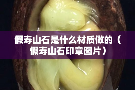 假寿山石是什么材质做的（假寿山石印章图片）