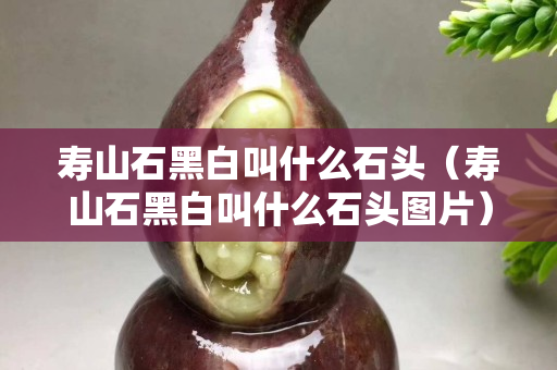 寿山石黑白叫什么石头（寿山石黑白叫什么石头图片）