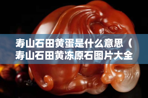 寿山石田黄蛋是什么意思（寿山石田黄冻原石图片大全）