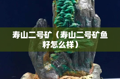 寿山二号矿（寿山二号矿鱼籽怎么样）