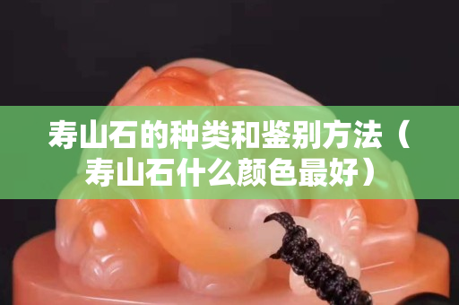 寿山石的种类和鉴别方法（寿山石什么颜色最好）