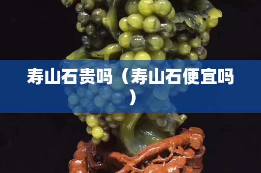 寿山石贵吗（寿山石便宜吗）