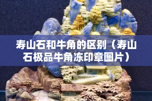 寿山石和牛角的区别（寿山石极品牛角冻印章图片）