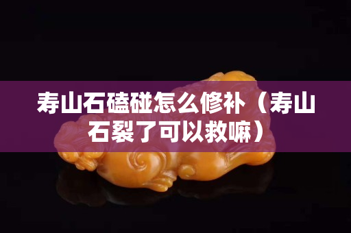 寿山石磕碰怎么修补（寿山石裂了可以救嘛）