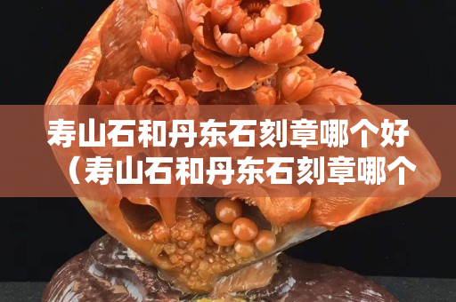 寿山石和丹东石刻章哪个好（寿山石和丹东石刻章哪个好一点）