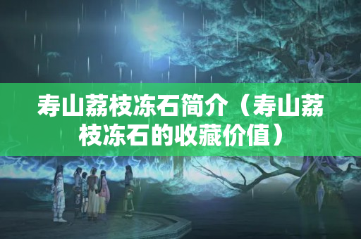 寿山荔枝冻石简介（寿山荔枝冻石的收藏价值）