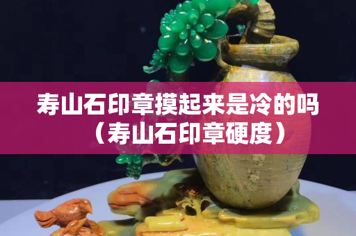 寿山石印章摸起来是冷的吗（寿山石印章硬度）
