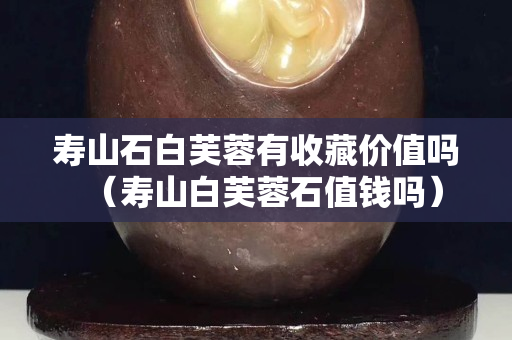寿山石白芙蓉有收藏价值吗（寿山白芙蓉石值钱吗）