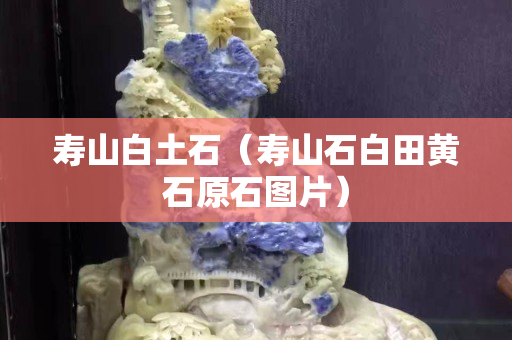寿山白土石（寿山石白田黄石原石图片）