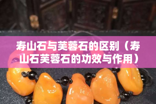 寿山石与芙蓉石的区别（寿山石芙蓉石的功效与作用）