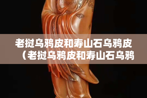 老挝乌鸦皮和寿山石乌鸦皮（老挝乌鸦皮和寿山石乌鸦皮哪个贵）