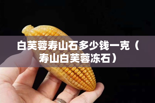 白芙蓉寿山石多少钱一克（寿山白芙蓉冻石）