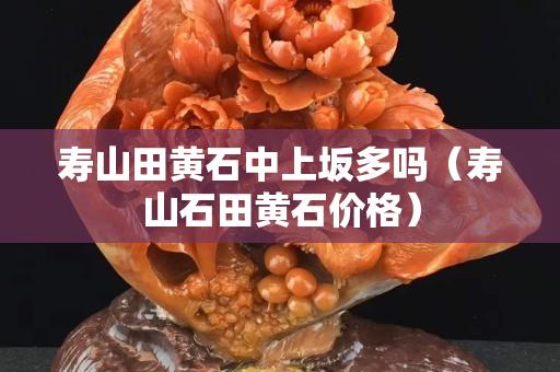 寿山田黄石中上坂多吗（寿山石田黄石价格）