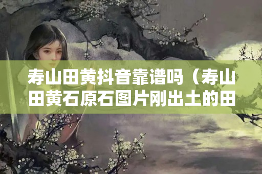 寿山田黄抖音靠谱吗（寿山田黄石原石图片刚出土的田黄）