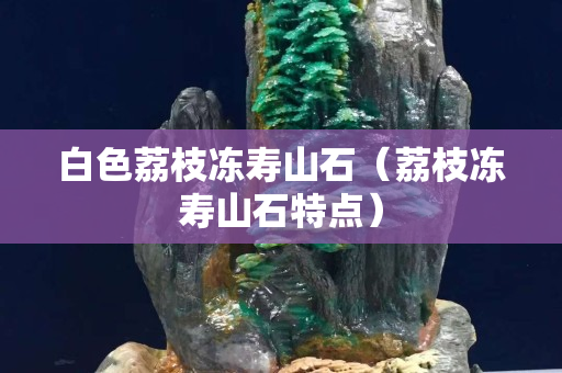白色荔枝冻寿山石（荔枝冻寿山石特点）