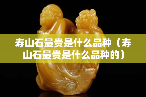 寿山石最贵是什么品种（寿山石最贵是什么品种的）