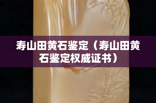 寿山田黄石鉴定（寿山田黄石鉴定权威证书）