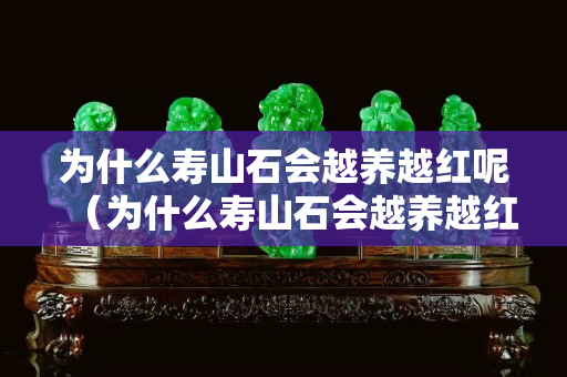 为什么寿山石会越养越红呢（为什么寿山石会越养越红呢怎么回事）