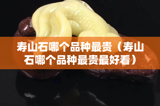 寿山石哪个品种最贵（寿山石哪个品种最贵最好看）
