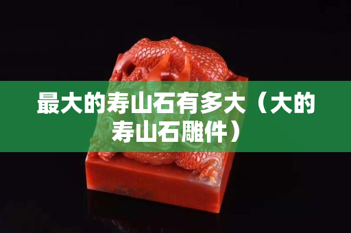 最大的寿山石有多大（大的寿山石雕件）