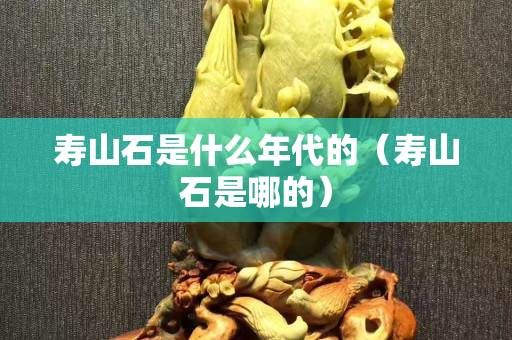 寿山石是什么年代的（寿山石是哪的）