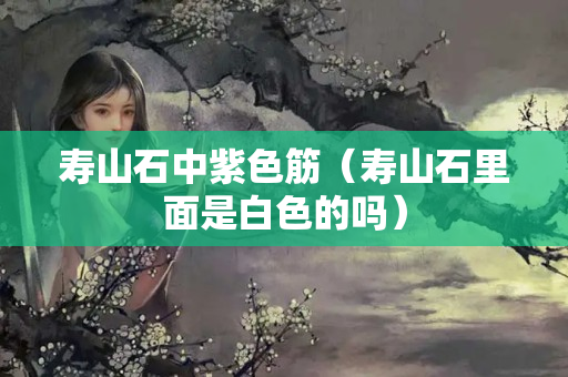 寿山石中紫色筋（寿山石里面是白色的吗）