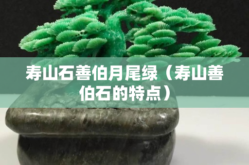 寿山石善伯月尾绿（寿山善伯石的特点）