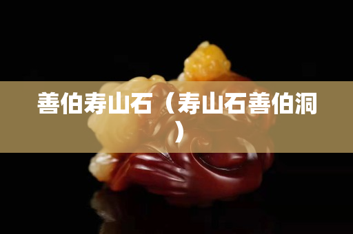 善伯寿山石（寿山石善伯洞）