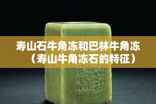寿山石牛角冻和巴林牛角冻（寿山牛角冻石的特征）