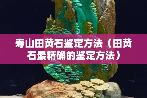 寿山田黄石鉴定方法（田黄石最精确的鉴定方法）