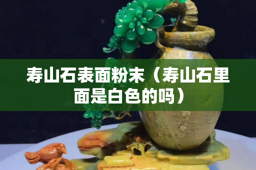 寿山石表面粉末（寿山石里面是白色的吗）