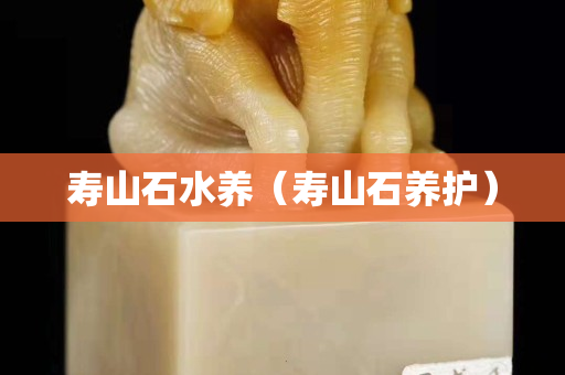 寿山石水养（寿山石养护）