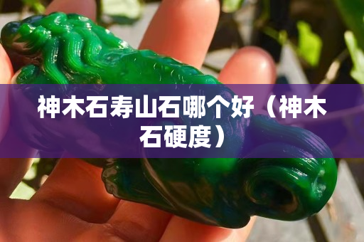 神木石寿山石哪个好（神木石硬度）