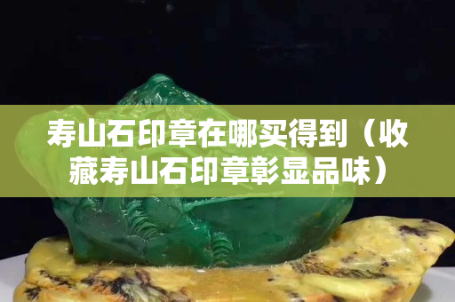 寿山石印章在哪买得到（收藏寿山石印章彰显品味）