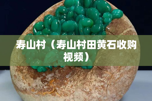 寿山村（寿山村田黄石收购视频）
