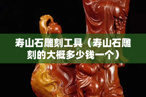 寿山石雕刻工具（寿山石雕刻的大概多少钱一个）
