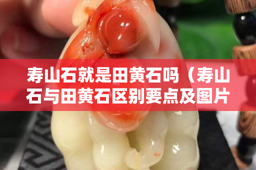 寿山石就是田黄石吗（寿山石与田黄石区别要点及图片）
