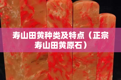 寿山田黄种类及特点（正宗寿山田黄原石）