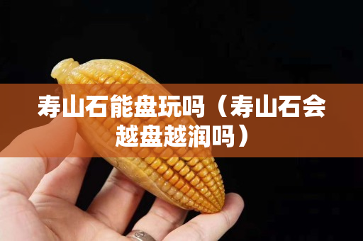 寿山石能盘玩吗（寿山石会越盘越润吗）