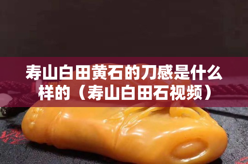 寿山白田黄石的刀感是什么样的（寿山白田石视频）