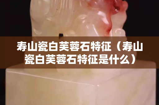 寿山瓷白芙蓉石特征（寿山瓷白芙蓉石特征是什么）