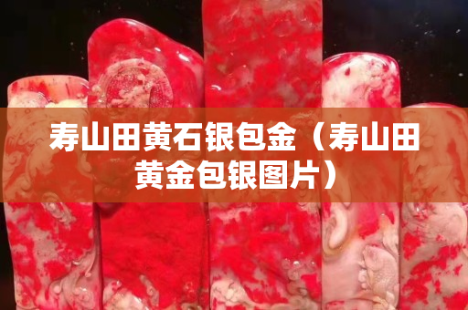 寿山田黄石银包金（寿山田黄金包银图片）